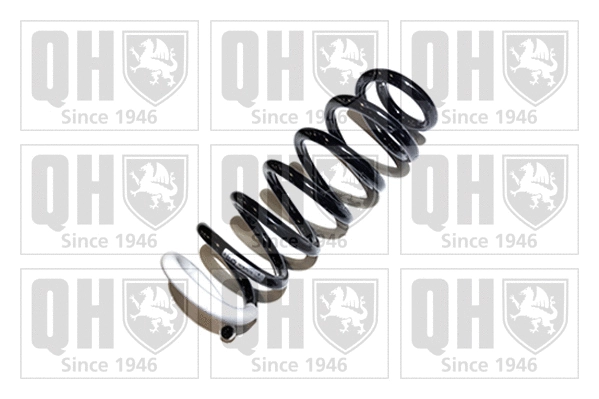 Suspension Spring (QCS7479)