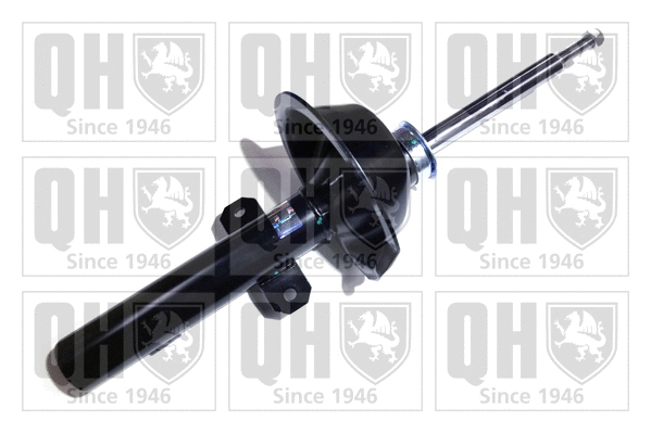 Shock Absorber (QAG181208)