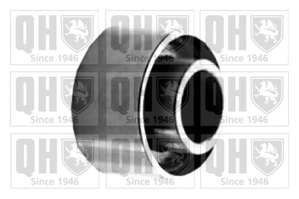 Deflection/Guide Pulley, timing belt (QTT361)