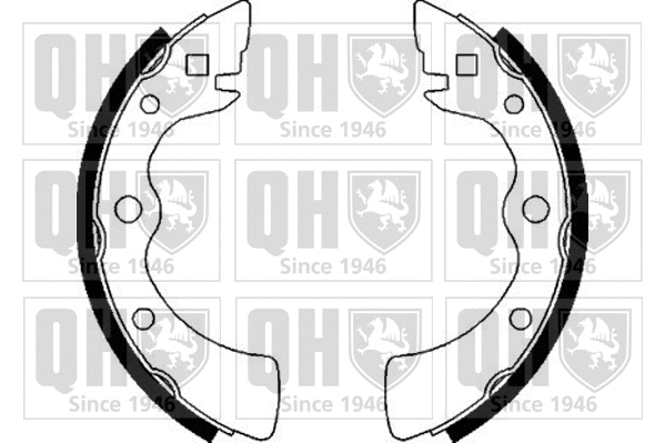 Brake Shoe Set (BS557)