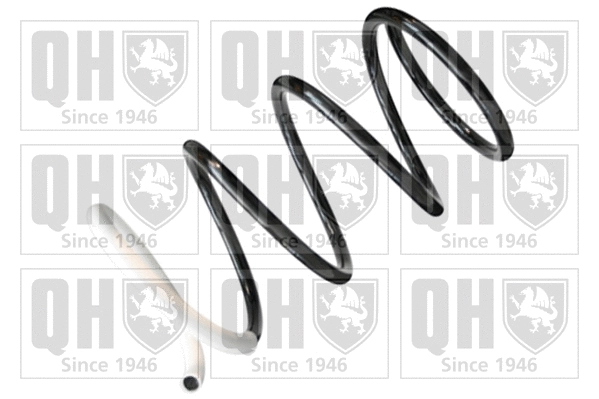 Suspension Spring (QCS5597)