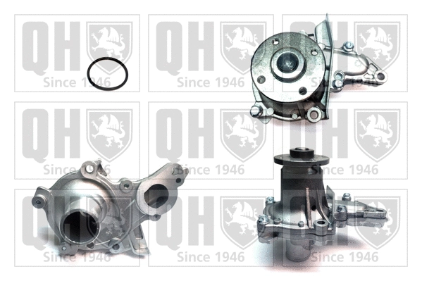 Water Pump, engine cooling (QCP3302)