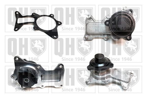 Water Pump, engine cooling (QCP3886)