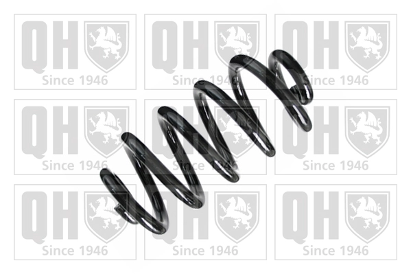 Suspension Spring (QCS8423)