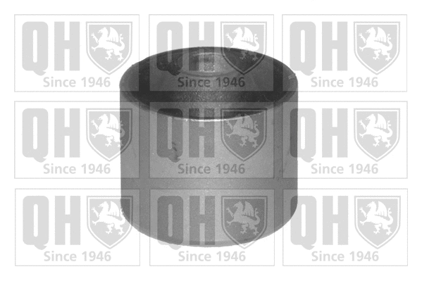 Mounting, control/trailing arm (EMS8119)