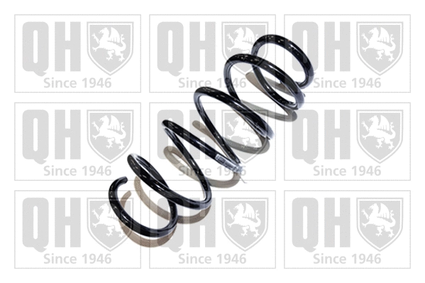 Suspension Spring (QCS6565)