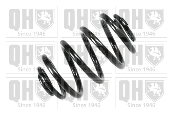 Suspension Spring (QCS6822)
