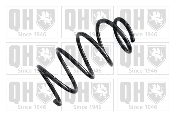 Suspension Spring (QCS5981)