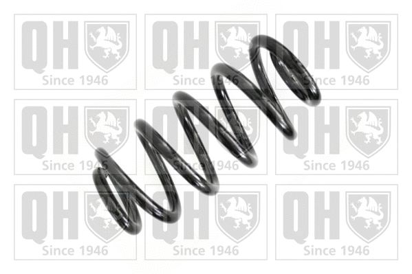 Suspension Spring (QCS8124)