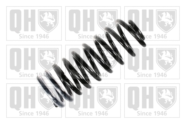 Suspension Spring (QCS7268)