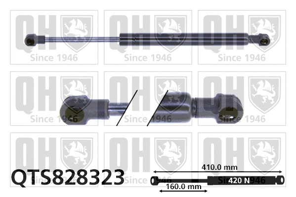 Gas Spring, boot/cargo area (QTS828323)