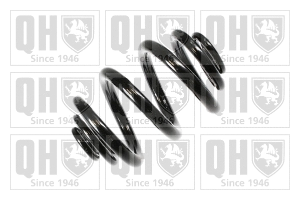 Suspension Spring (QCS7543)