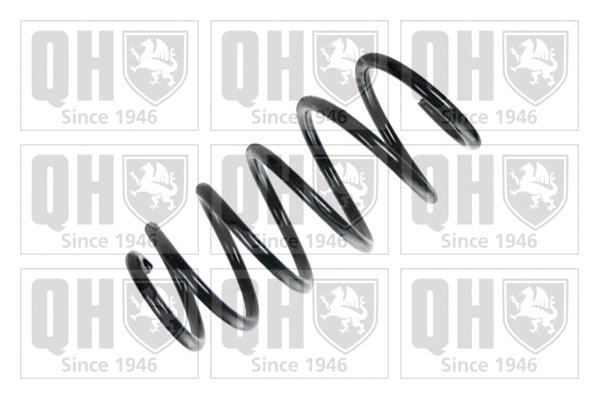 Suspension Spring (QCS7066)