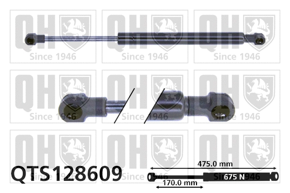 Gas Spring, boot/cargo area (QTS128609)