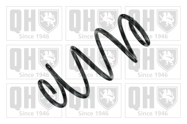 Suspension Spring (QCS8646)