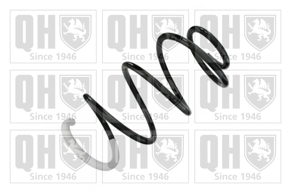 Suspension Spring (QCS8557)