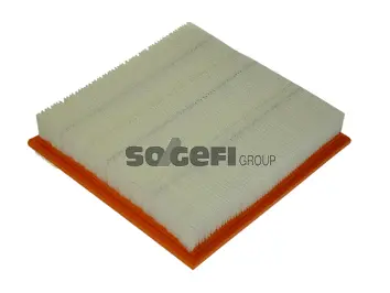 Air Filter (CA9762)