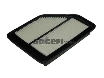 Air Filter (CA10565)