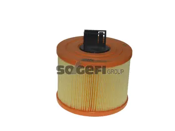 Air Filter (CA10239)