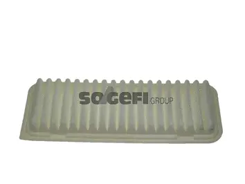 Air Filter (CA10762)