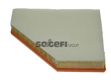 Air Filter (CA10700)
