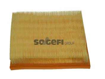 Air Filter (CA9102)