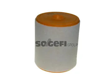 Air Filter (CA11070)