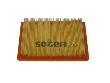 Air Filter (CA5619)