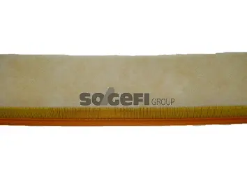 Air Filter (CA5830)