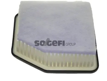 Air Filter (CA10595)