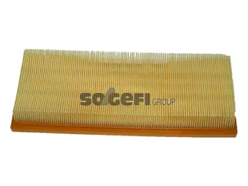 Air Filter (CA8899)