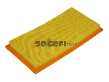 Air Filter (CA10118)