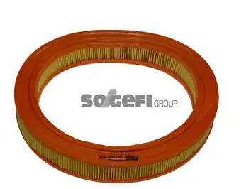 Air Filter (CA3145)