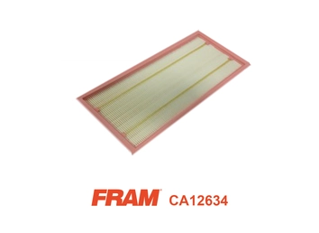 Air Filter (CA12634)