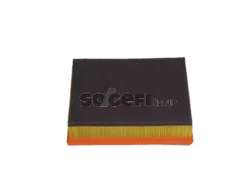 Air Filter (CA10697)
