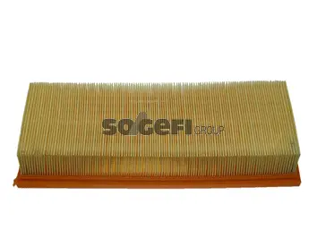Air Filter (CA5492)