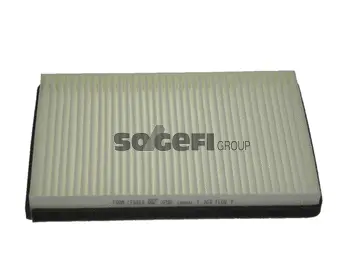 Filter, cabin air (CF8868)