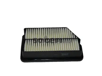 Air Filter (CA10889)