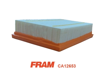 Air Filter (CA12653)