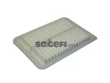 Air Filter (CA10171)