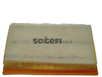 Air Filter (CA9022)