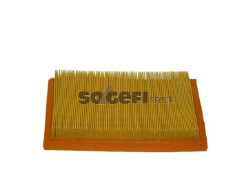 Air Filter (CA5352)