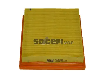 Air Filter (CA5496)