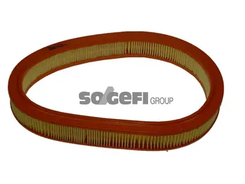 Air Filter (CA5161)