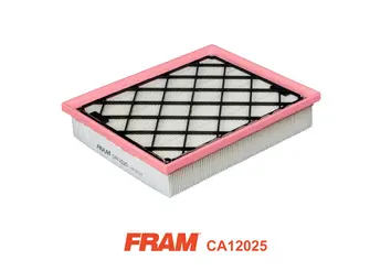 Air Filter (CA12025)