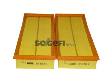 Air Filter (CA8768-2)