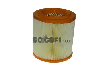 Air Filter (CA10421)