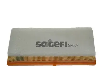 Air Filter (CA10652)