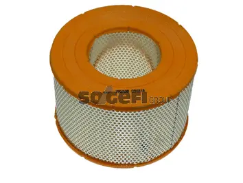 Air Filter (CA4818)