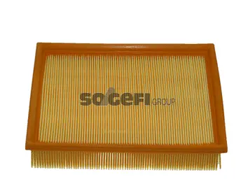 Air Filter (CA9651)
